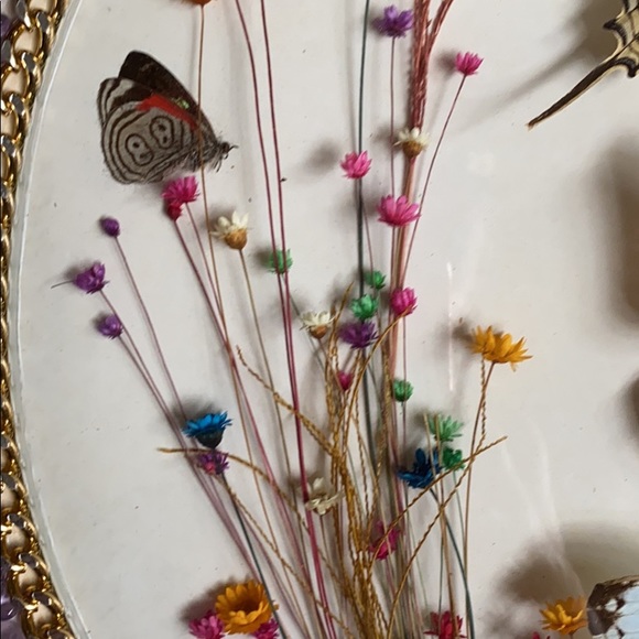 Boho Vintage Butterflies Display - Picture 3 of 7